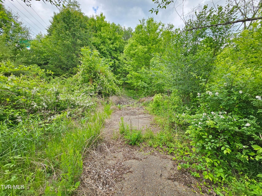 Photo #4: Tbd Fordtown Road