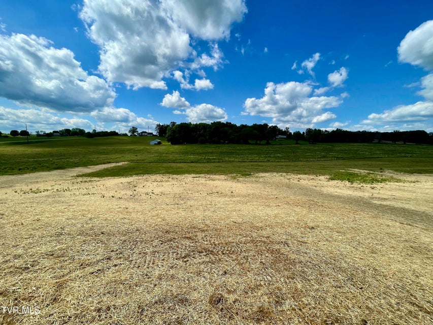 Photo #18: 245 Greenwood Road