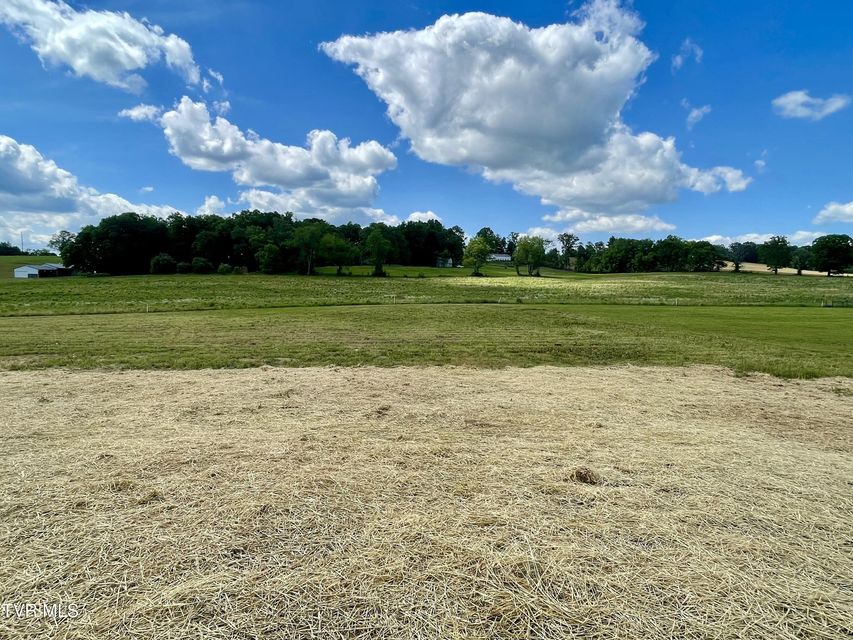 Photo #16: 275 Greenwood Road