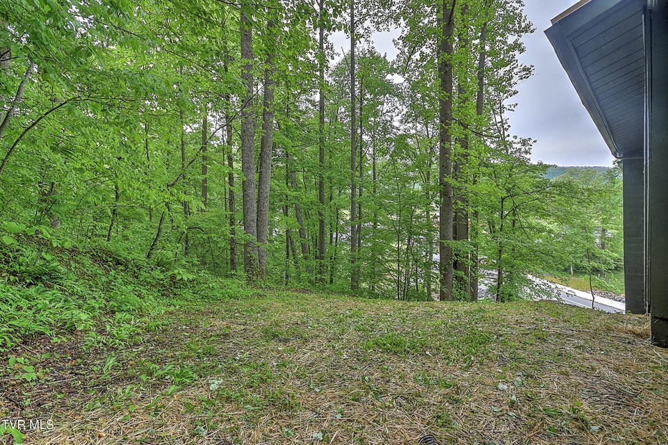 Photo #65: 112 Blevins Hollow Road