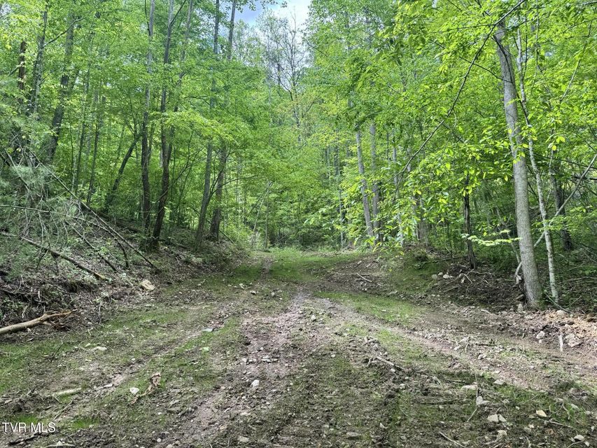 Photo #8: 4090 Old Asheville Highway