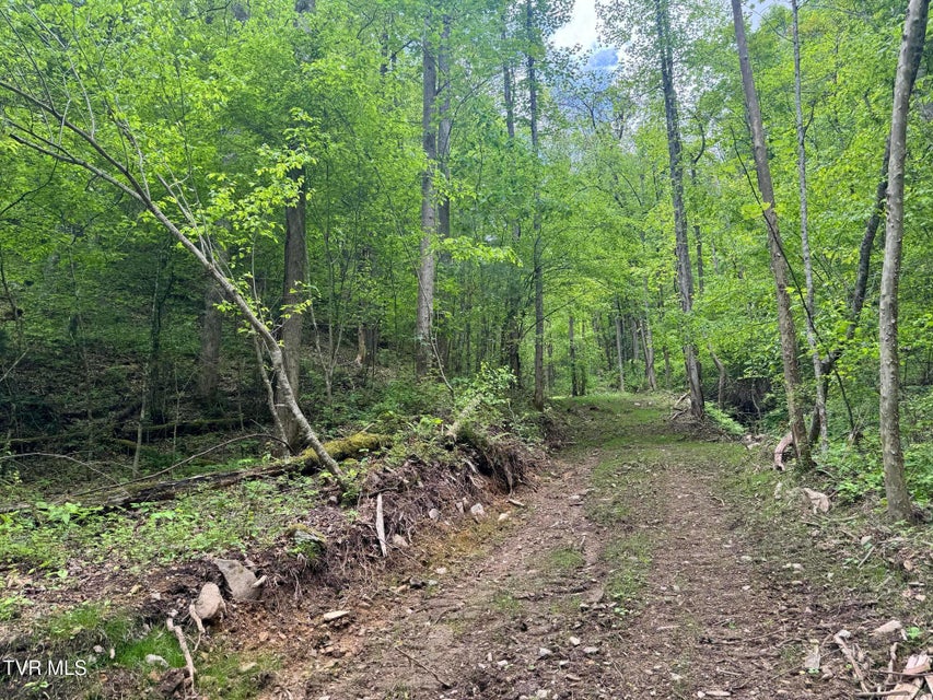 Photo #9: 4090 Old Asheville Highway