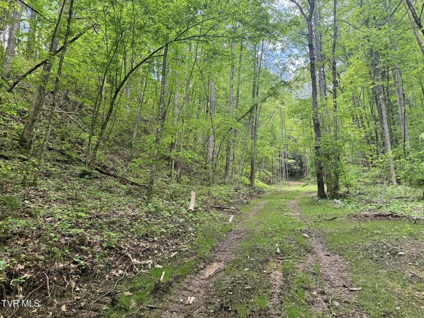 Photo #10: 4090 Old Asheville Highway