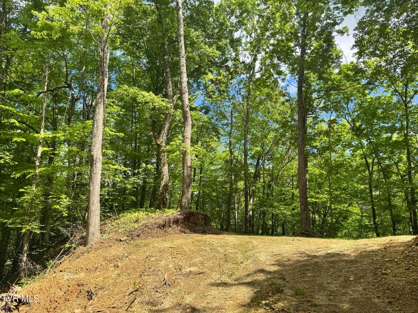 Photo #13: 4090 Old Asheville Highway