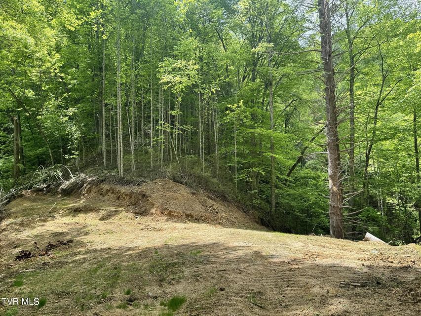 Photo #14: 4090 Old Asheville Highway