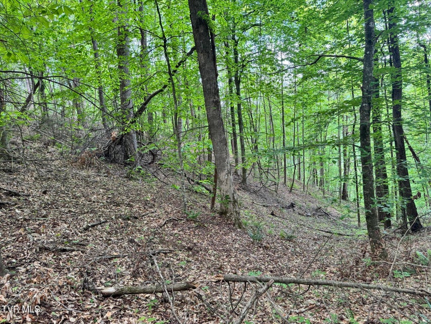 Photo #25: 4090 Old Asheville Highway