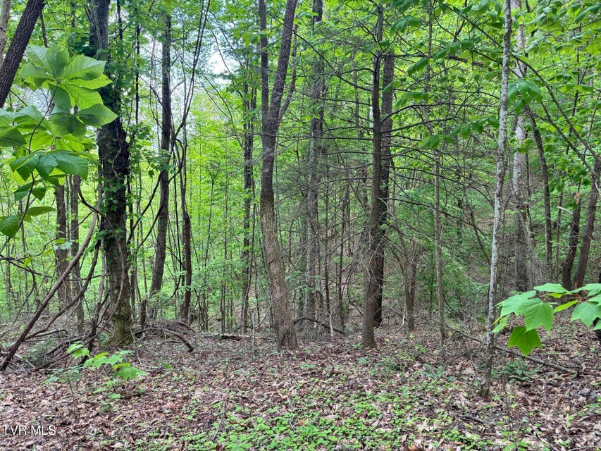Photo #26: 4090 Old Asheville Highway