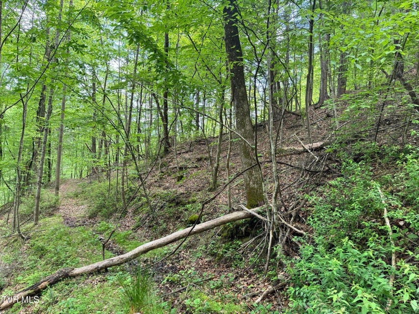 Photo #27: 4090 Old Asheville Highway