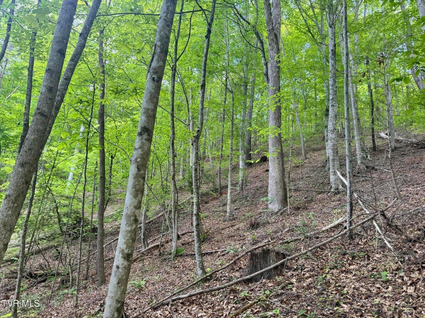 Photo #30: 4090 Old Asheville Highway