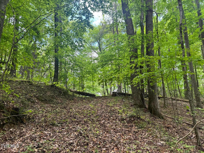 Photo #6: 4090 Old Asheville Highway
