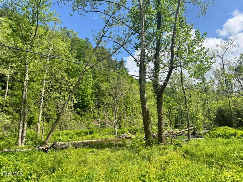 Photo #41: 4090 Old Asheville Highway