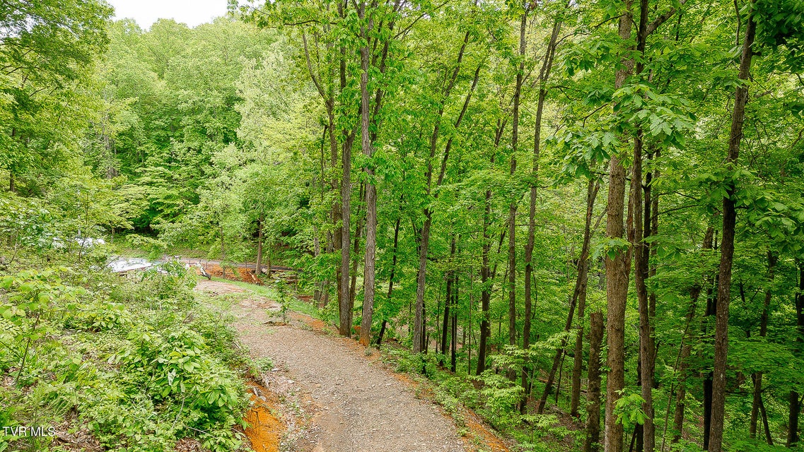 Photo #11: 394 Bishop Hollow Road