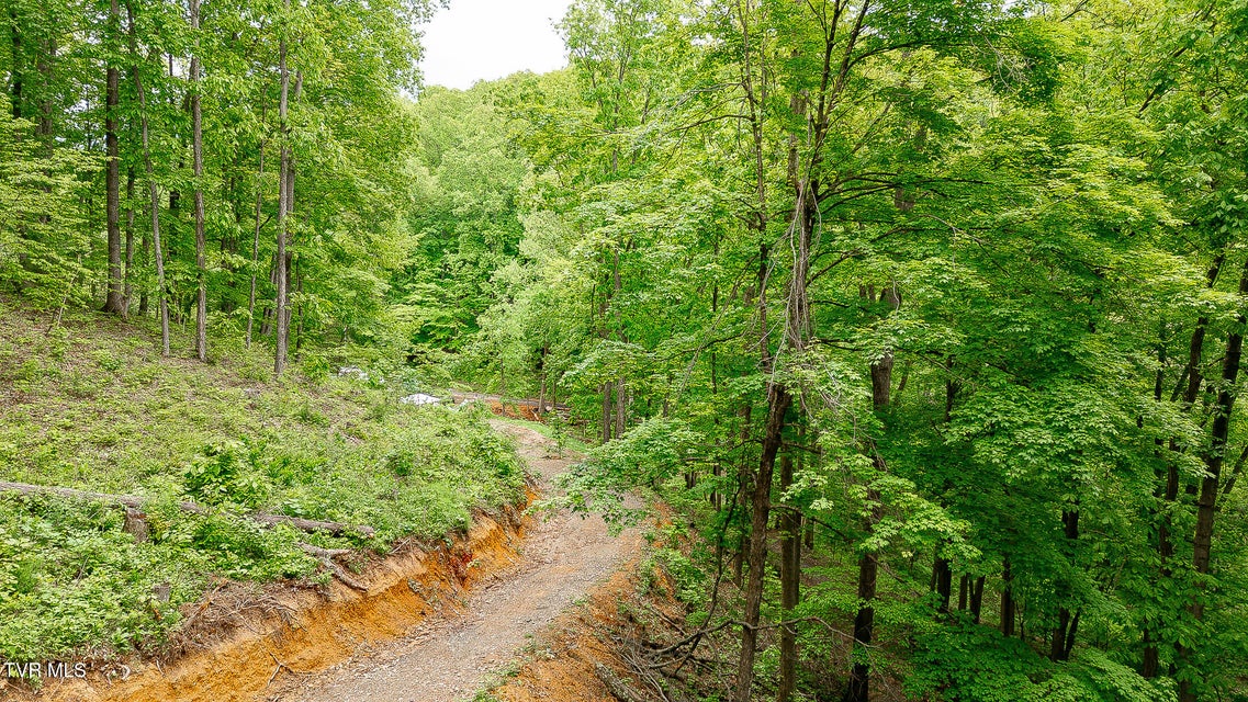 Photo #12: 394 Bishop Hollow Road