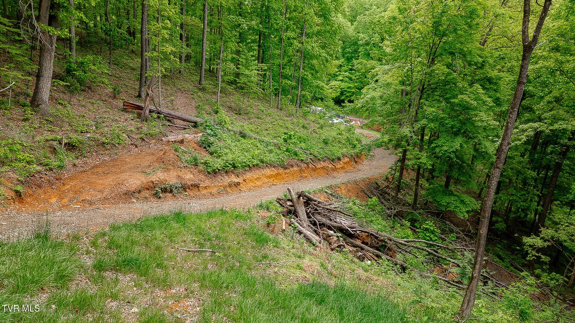 Photo #13: 394 Bishop Hollow Road