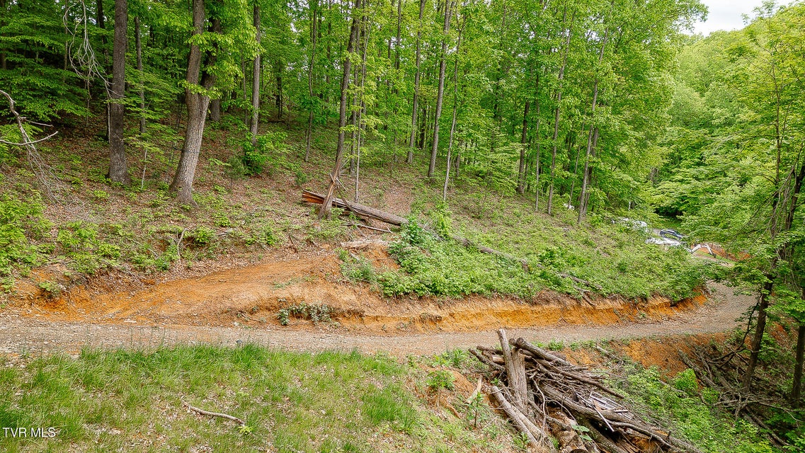 Photo #15: 394 Bishop Hollow Road