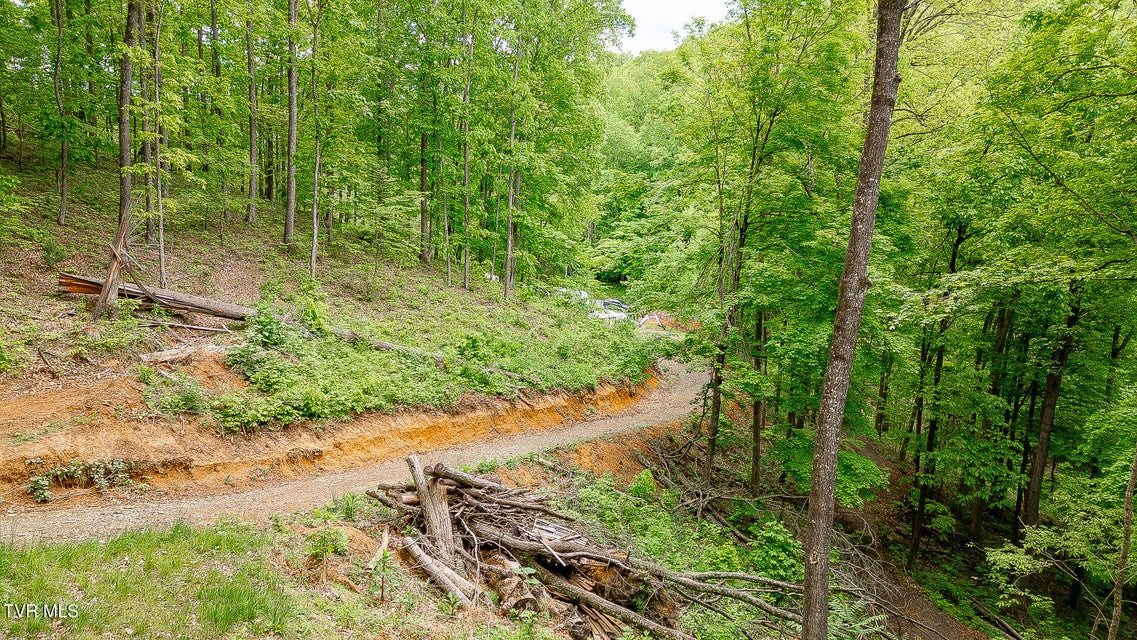 Photo #16: 394 Bishop Hollow Road
