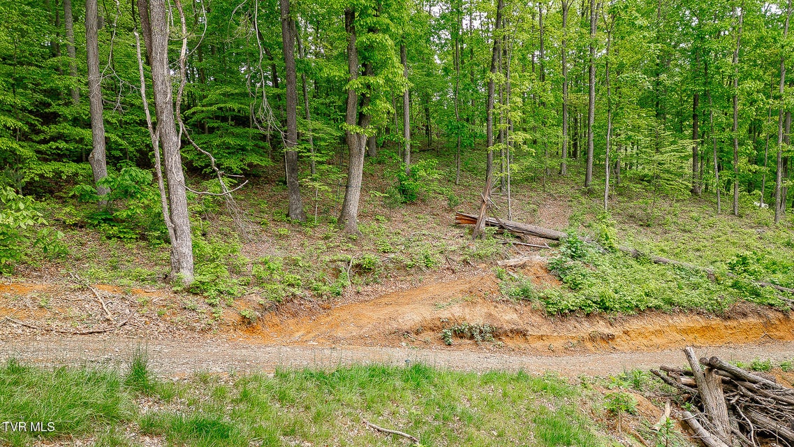 Photo #17: 394 Bishop Hollow Road
