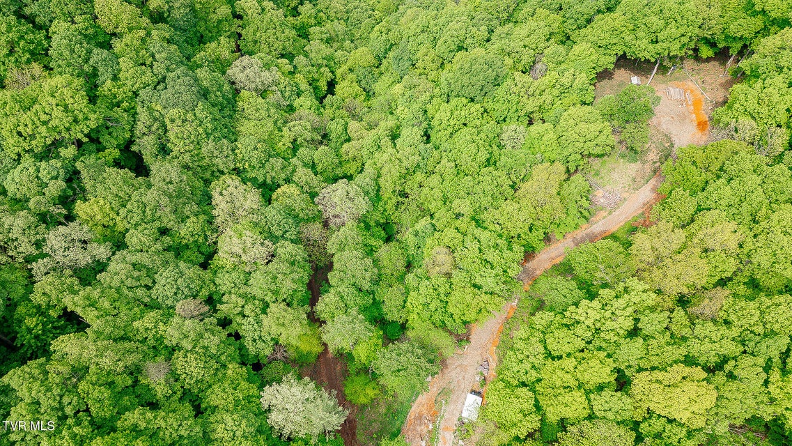 Photo #18: 394 Bishop Hollow Road