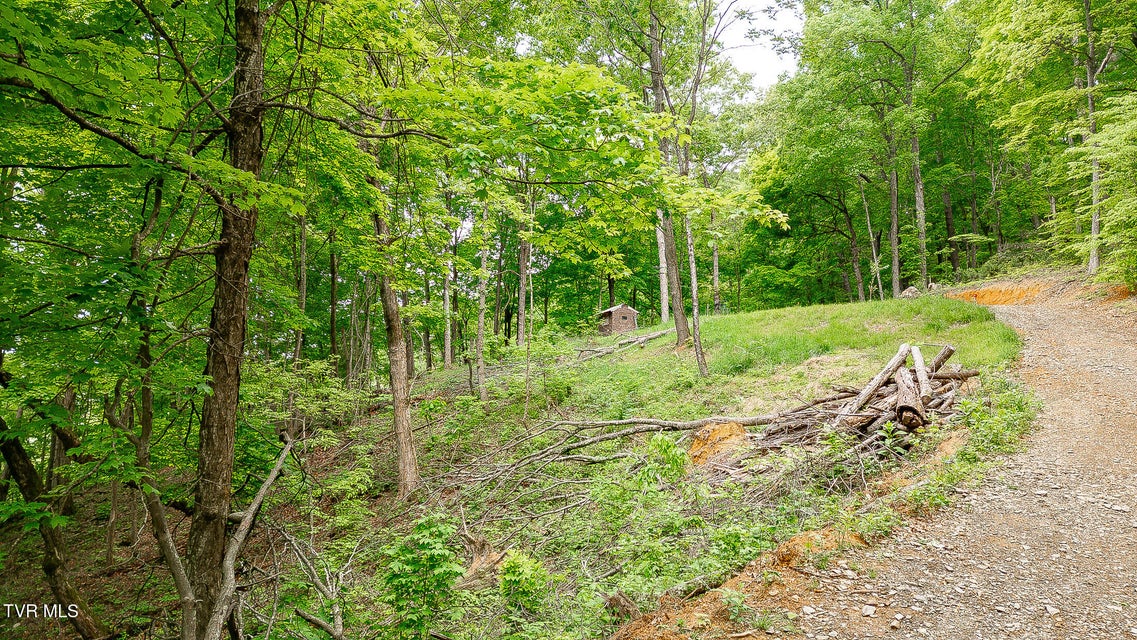 Photo #19: 394 Bishop Hollow Road