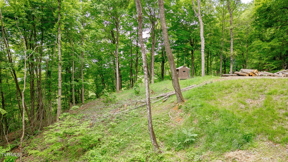 Photo #22: 394 Bishop Hollow Road