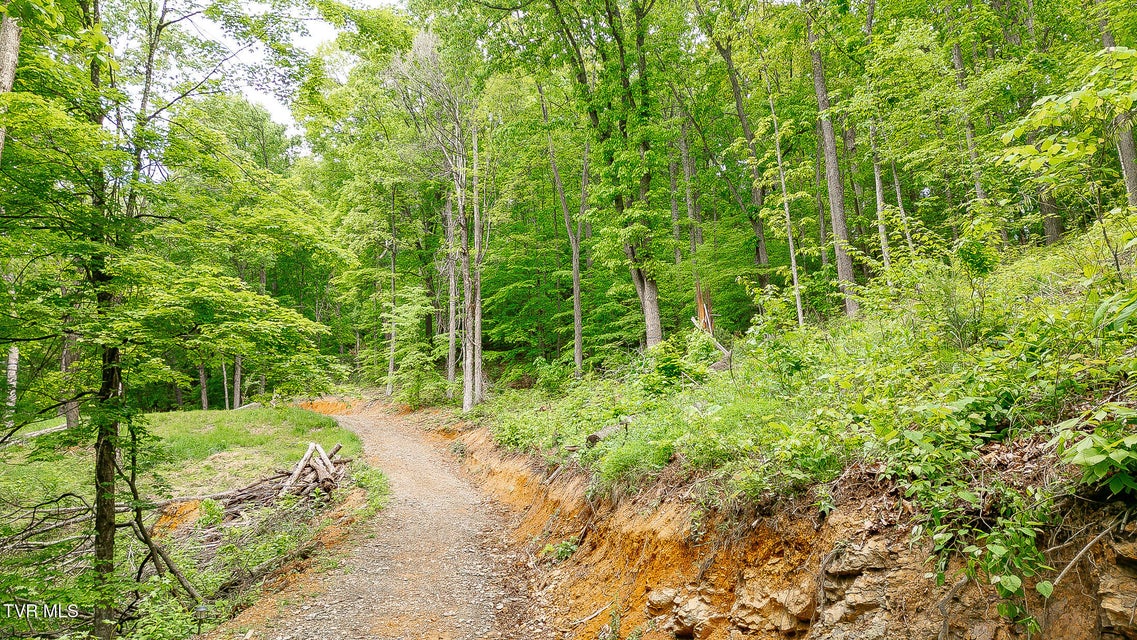 Photo #23: 394 Bishop Hollow Road