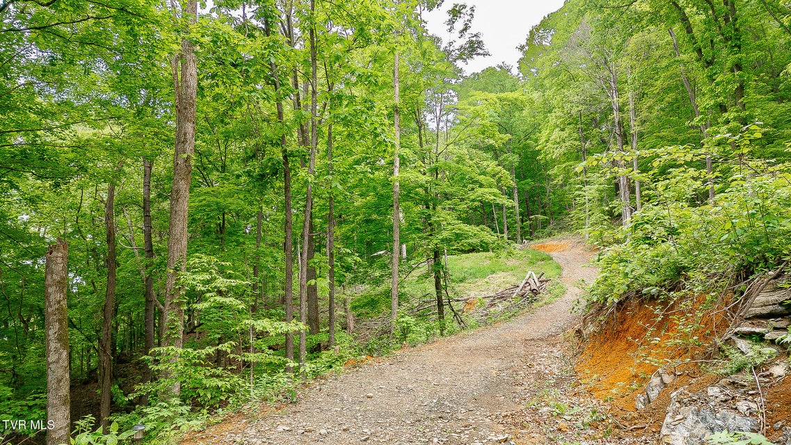 Photo #24: 394 Bishop Hollow Road