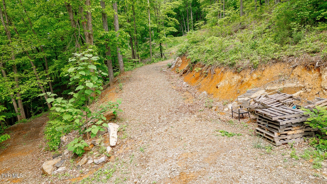 Photo #25: 394 Bishop Hollow Road