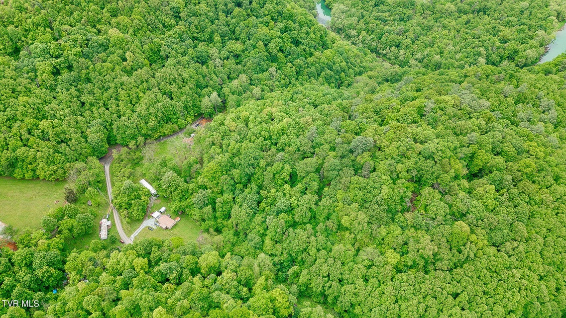 Photo #49: 394 Bishop Hollow Road