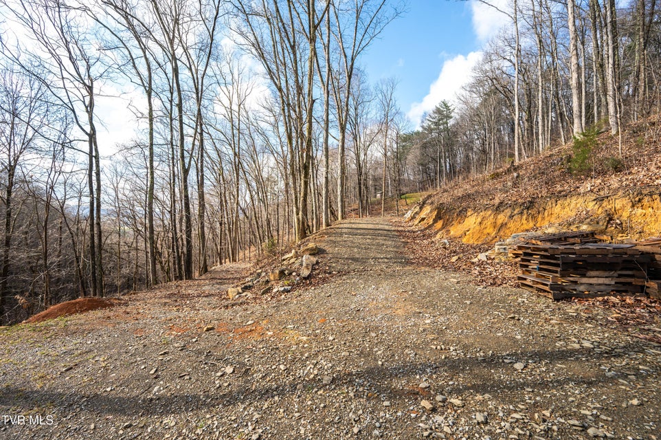 Photo #80: 394 Bishop Hollow Road