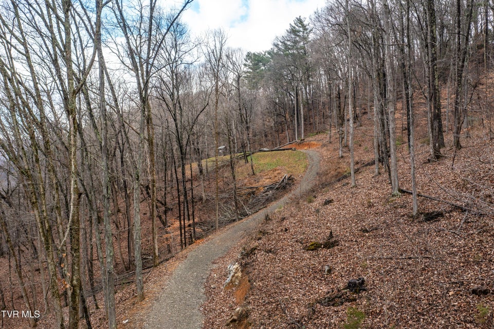Photo #81: 394 Bishop Hollow Road