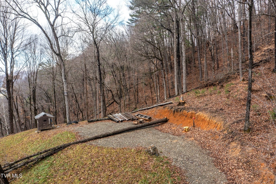 Photo #84: 394 Bishop Hollow Road