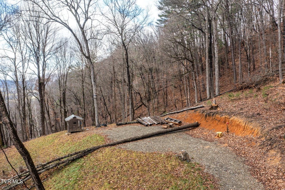 Photo #85: 394 Bishop Hollow Road