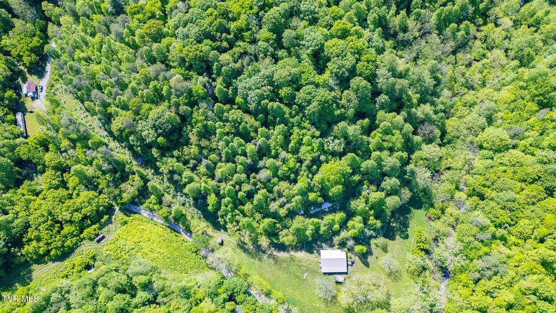 Photo #63: 1668 Fowlers Br Road