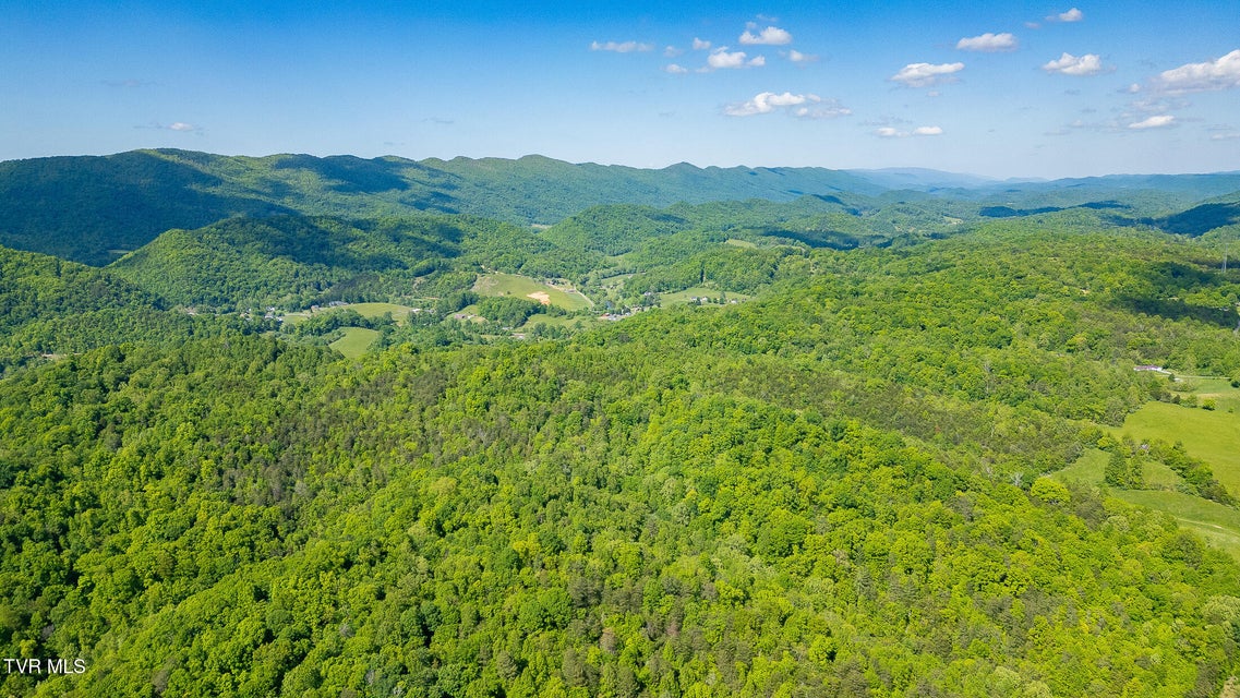 Photo #18: 1668 Fowlers Br Road