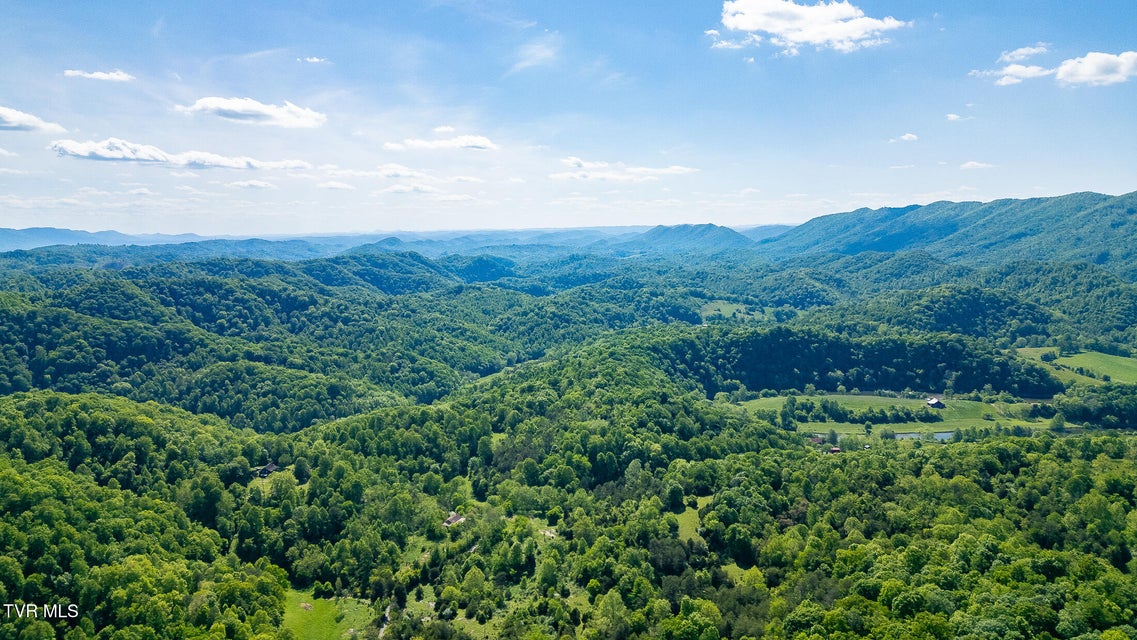 Photo #9: 1668 Fowlers Br Road