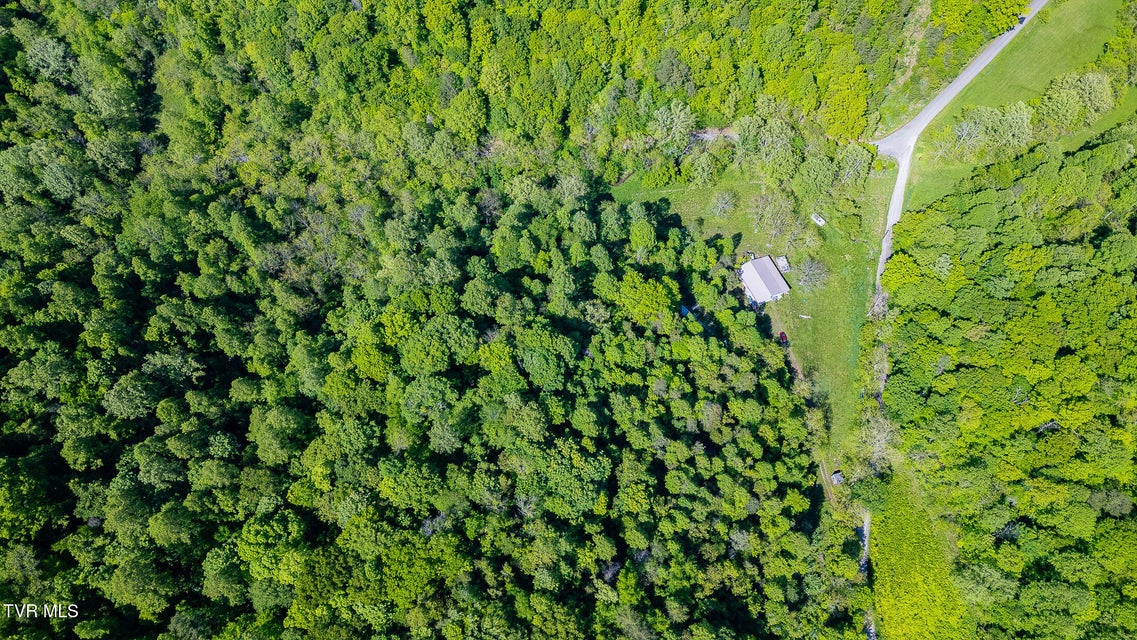 Photo #60: 1668 Fowlers Br Road