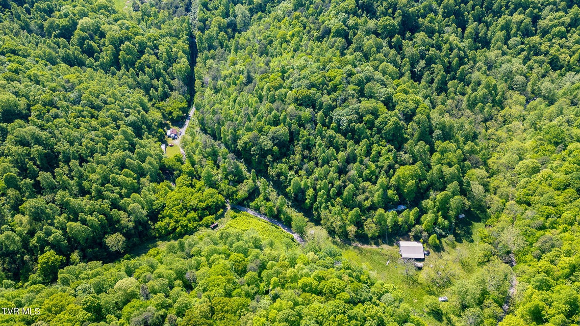Photo #61: 1668 Fowlers Br Road