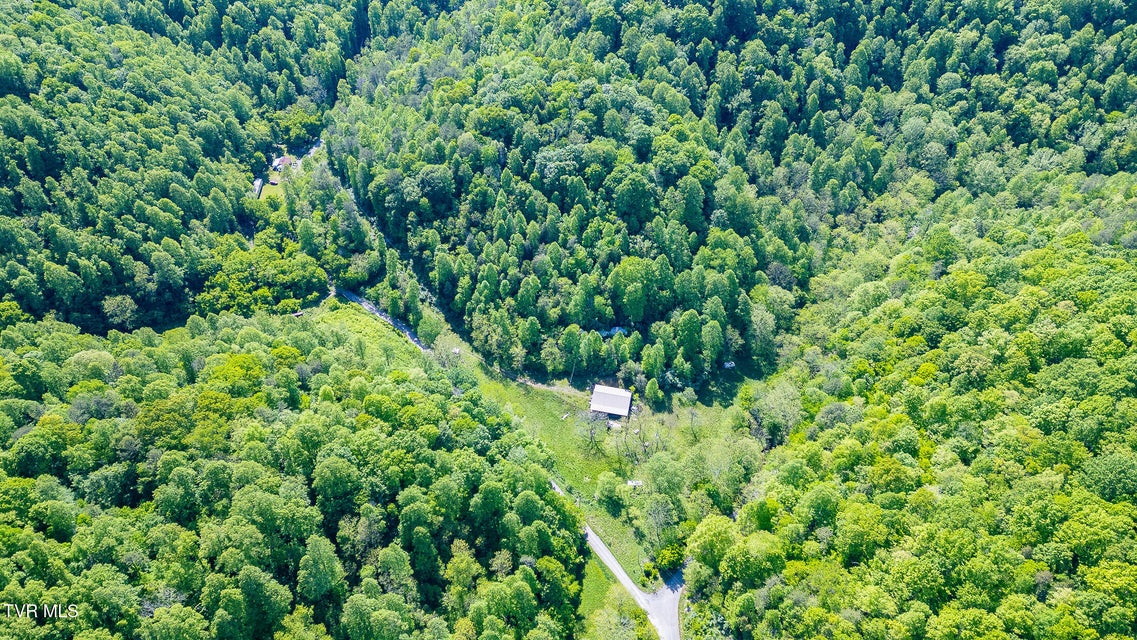 Photo #62: 1668 Fowlers Br Road