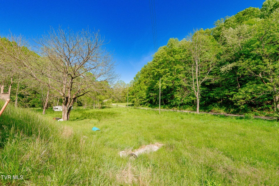 Photo #44: 1668 Fowlers Br Road