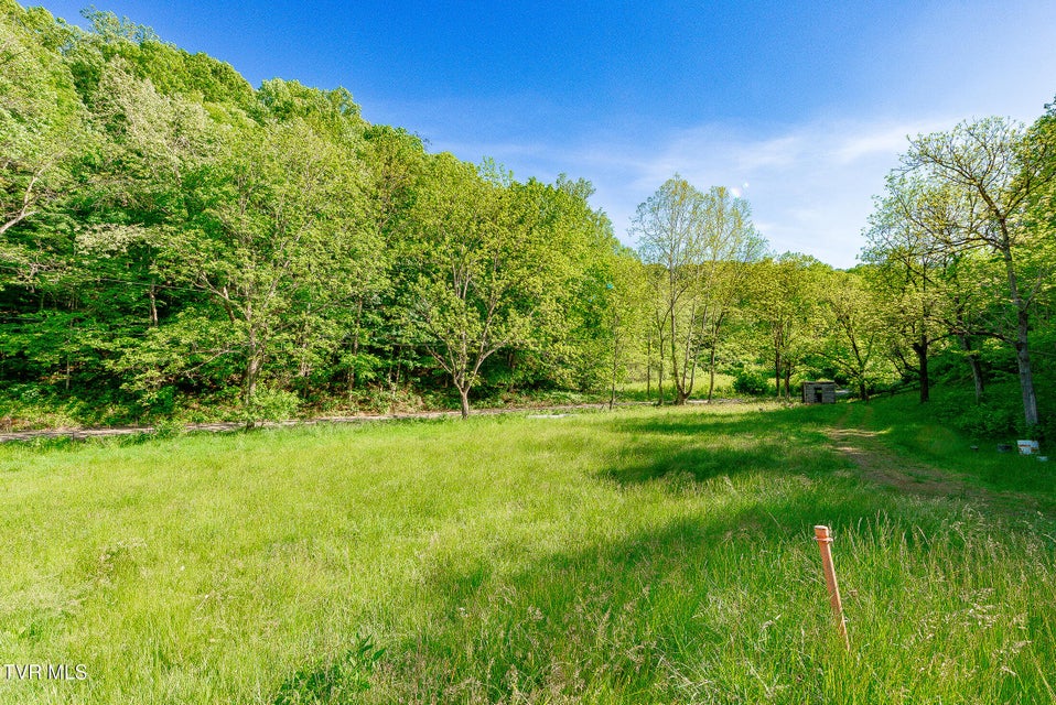Photo #46: 1668 Fowlers Br Road