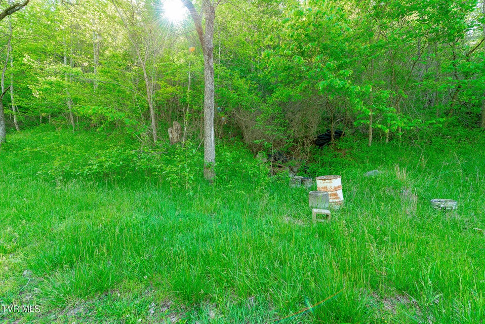 Photo #50: 1668 Fowlers Br Road