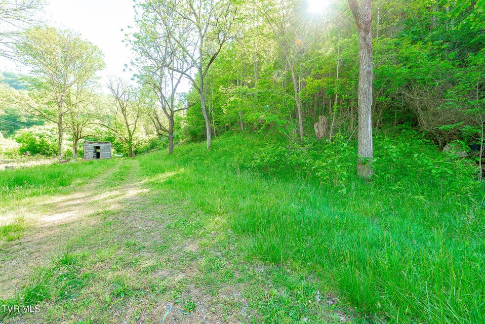 Photo #51: 1668 Fowlers Br Road