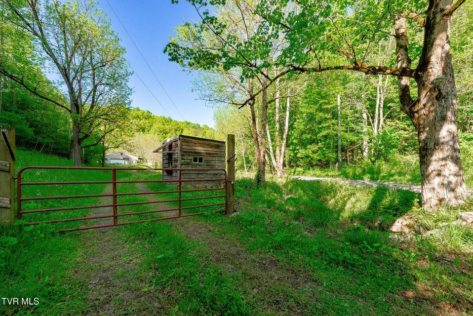 Photo #6: 1668 Fowlers Br Road