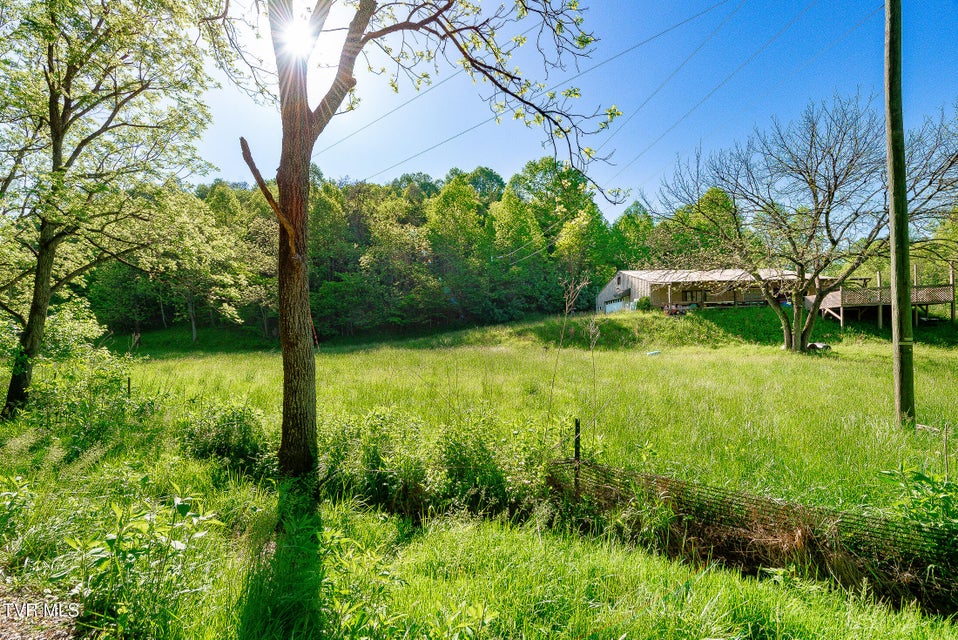 Photo #3: 1668 Fowlers Br Road