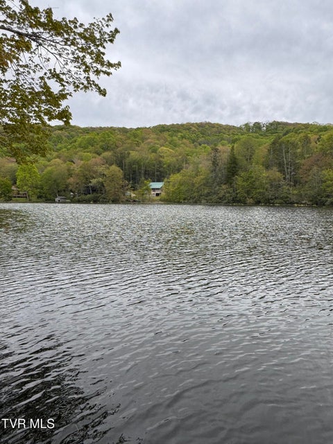 Photo #3: 368 Ripshin Lake Road