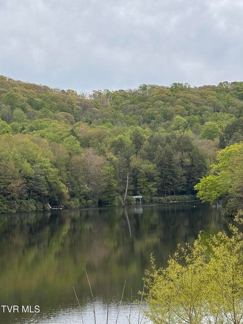 Photo #8: 368 Ripshin Lake Road