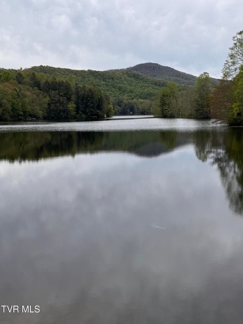 Photo #9: 368 Ripshin Lake Road