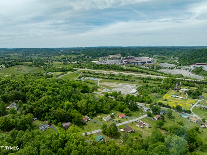 Photo #48: 266 Pine Laurel Circle