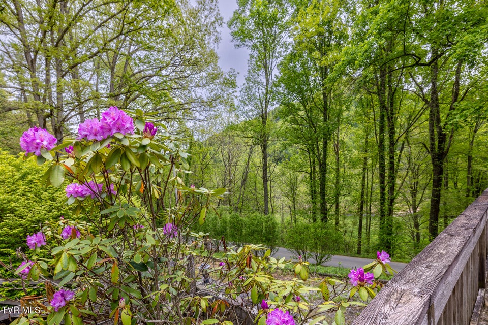 Photo #11: 240 Old Railroad Grade Rd