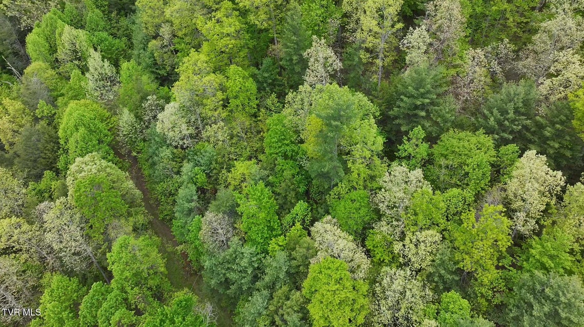 Photo #39: 240 Old Railroad Grade Rd